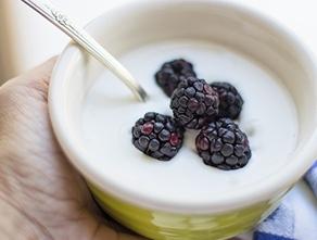 Food photography